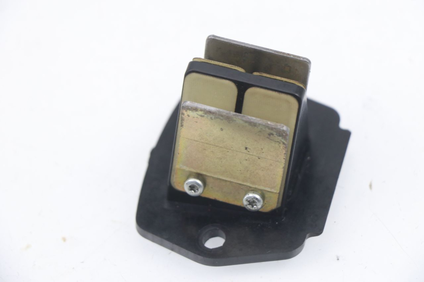 photo de REED VALVE ASSEMBLY PIAGGIO VESPA LX 2T 50 (2005 - 2013)