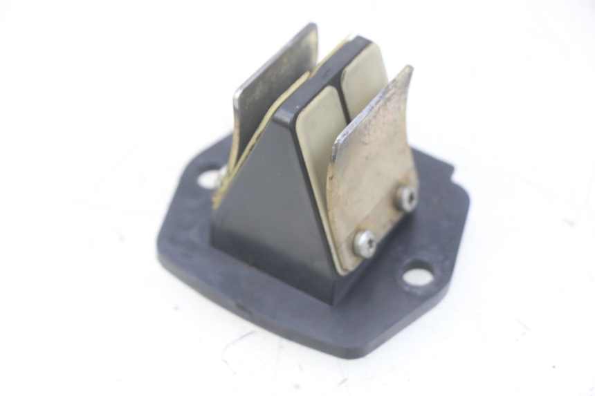 photo de REED VALVE ASSEMBLY PIAGGIO ZIP 2T 50 (2009 - 2019)