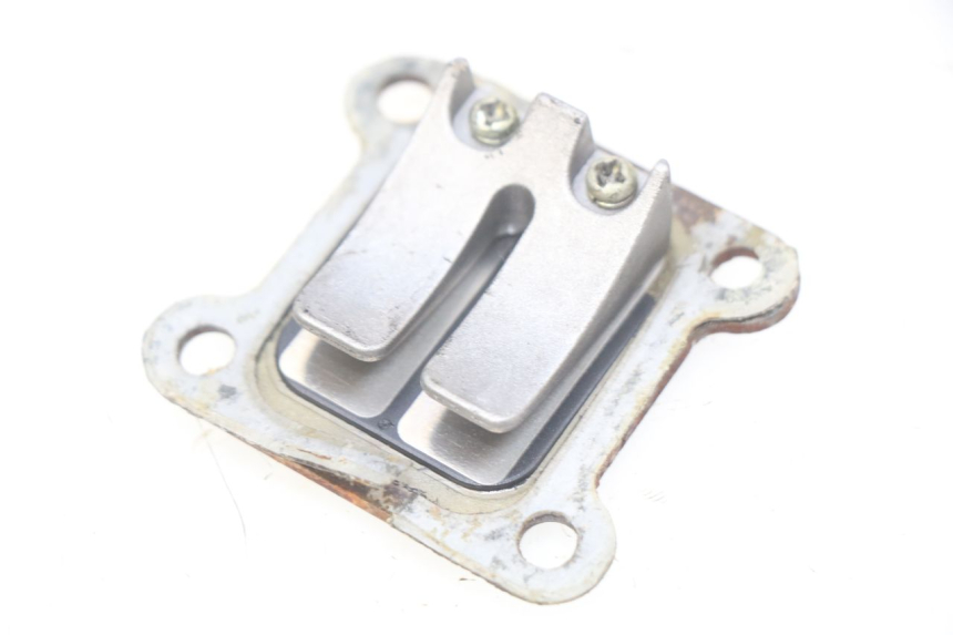 photo de REED VALVE ASSEMBLY POCKET BIKE COURSE 50