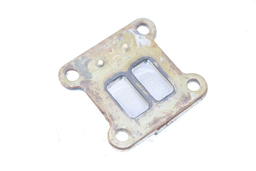 photo de REED VALVE ASSEMBLY POCKET BIKE COURSE 50