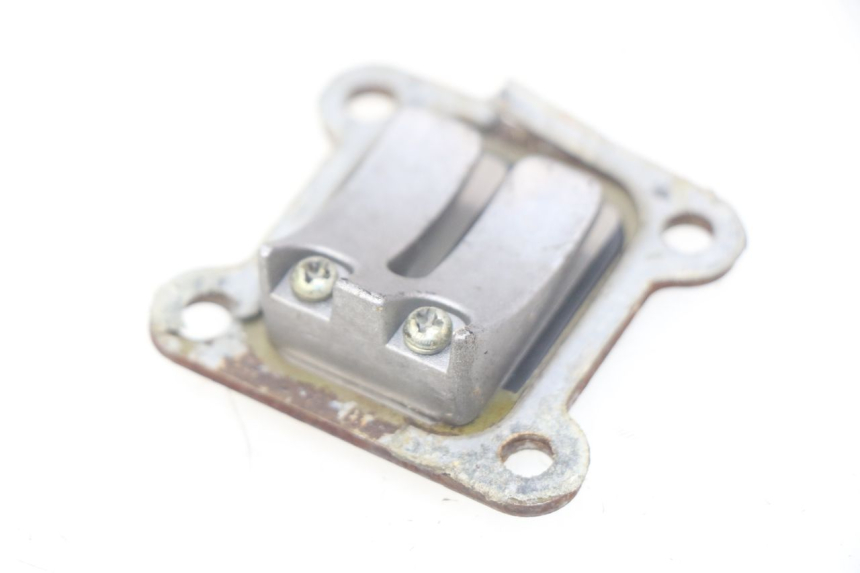 photo de REED VALVE ASSEMBLY POCKET BIKE COURSE 50