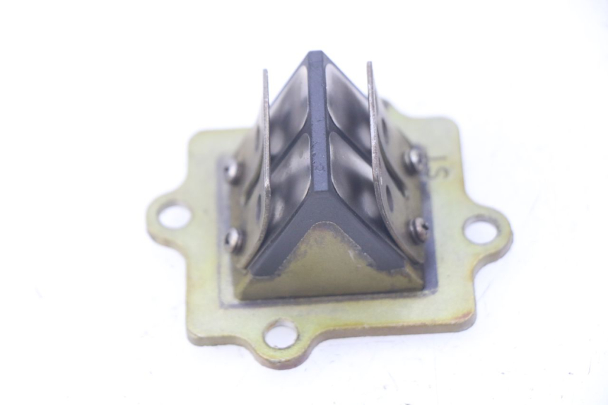 photo de REED VALVE ASSEMBLY TNT MOTOR OTTO 2T 50 (2012 - 2018)