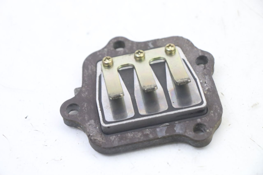 photo de REED VALVE ASSEMBLY YAMAHA PW 80 (1983 - 2014)