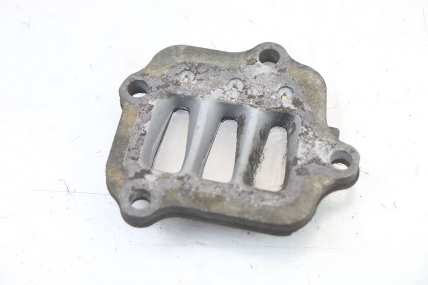 photo de REED VALVE ASSEMBLY YAMAHA PW 80 (1983 - 2014)