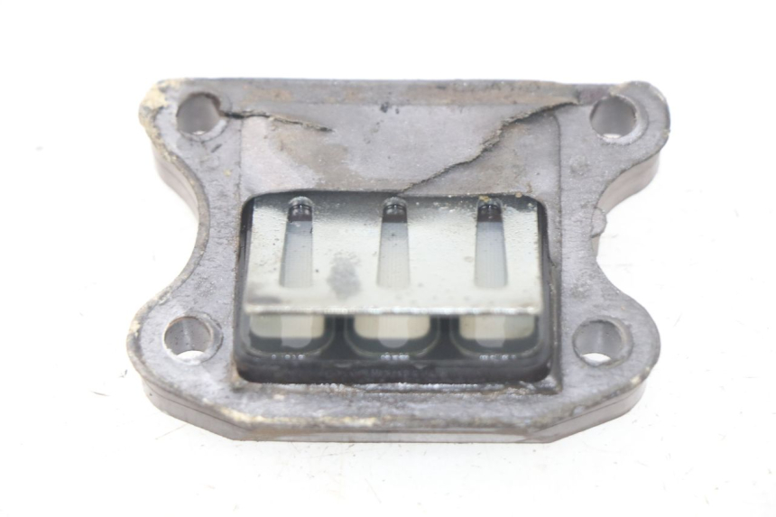 photo de REED VALVE ASSEMBLY PEUGEOT ZENITH 50 (1994 - 1999)