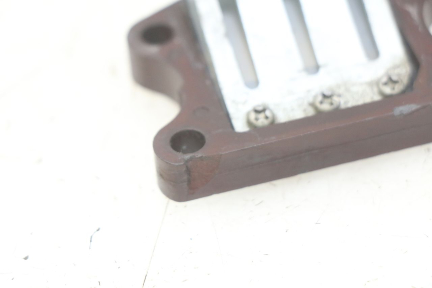 photo de REED VALVE ASSEMBLY PEUGEOT ZENITH 50 (1994 - 1999)