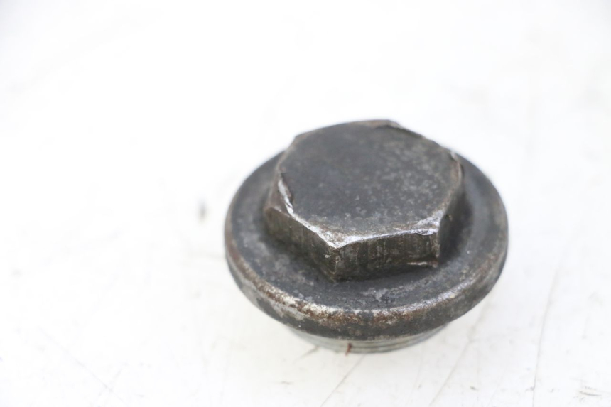 photo de OIL SUMP PLUG PIAGGIO MP3 RL 250 (2007 - 2010)