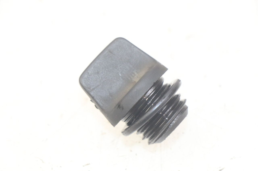 photo de OIL SUMP PLUG TRIUMPH SPRINT ST 955 (1999 - 2001)