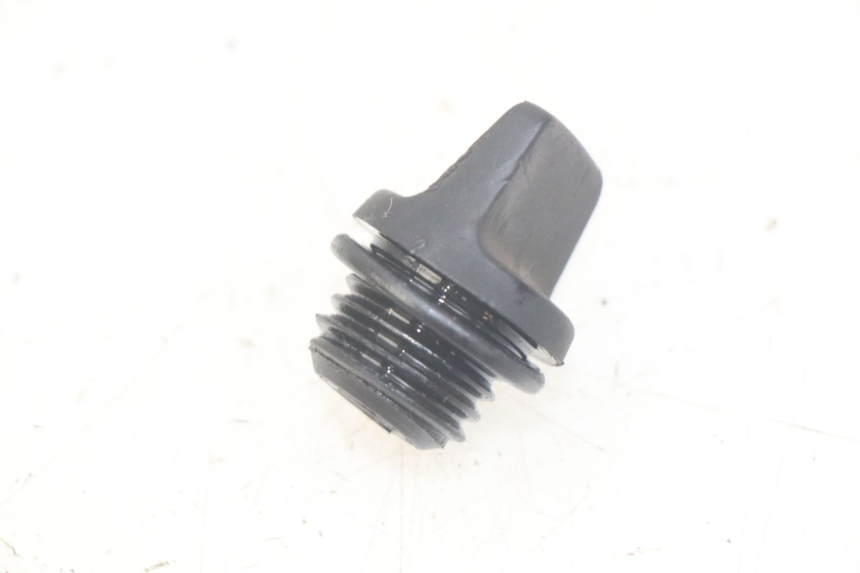 photo de OIL SUMP PLUG TRIUMPH SPRINT ST 955 (1999 - 2001)