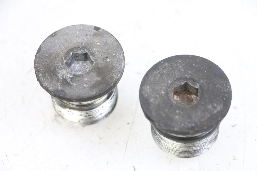 photo de FORK CAP PIAGGIO X8 125 (2004 - 2007) - Main view