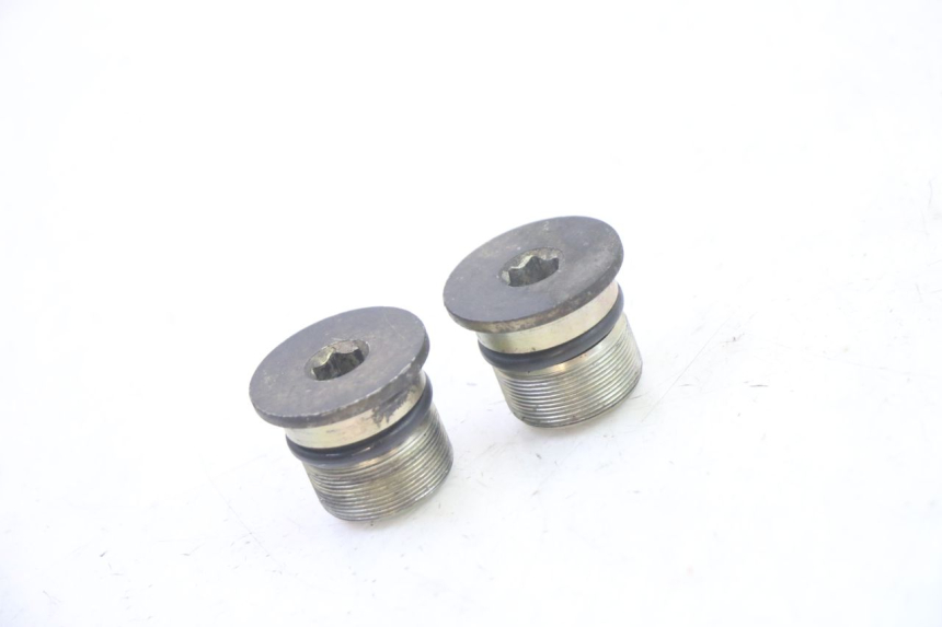 photo de FORK CAP PIAGGIO X9 EVOLUTION 125 (2003 - 2007)