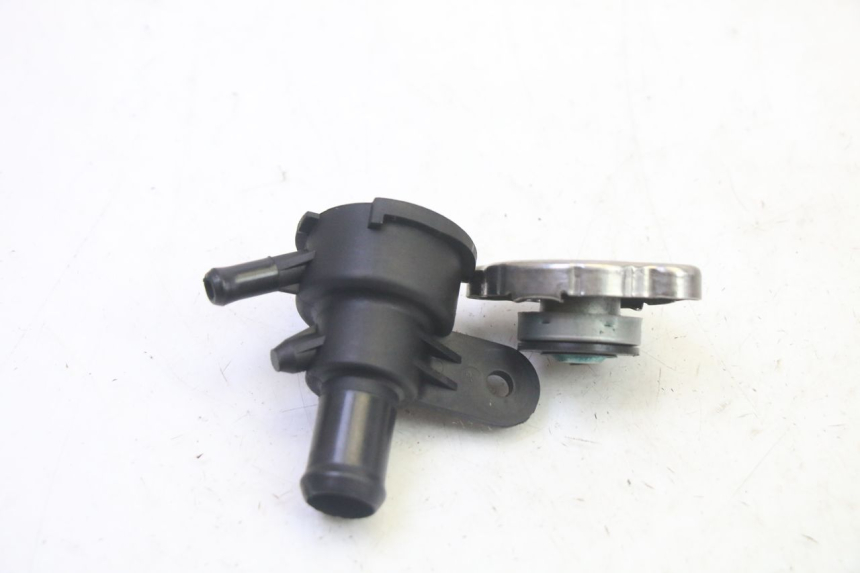 photo de RADIATOR CAP QUADRO 4 4D 350 (2015 - 2018)