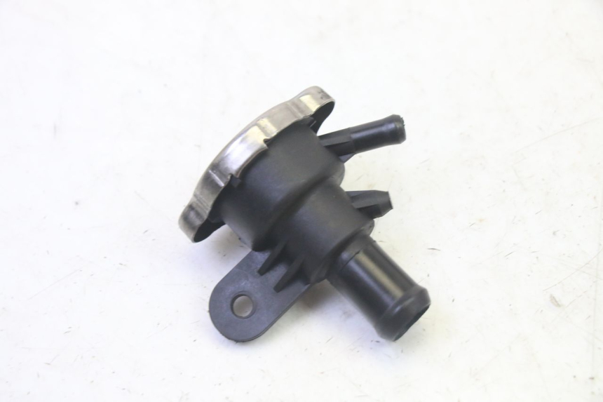 photo de RADIATOR CAP QUADRO 4 4D 350 (2015 - 2018)