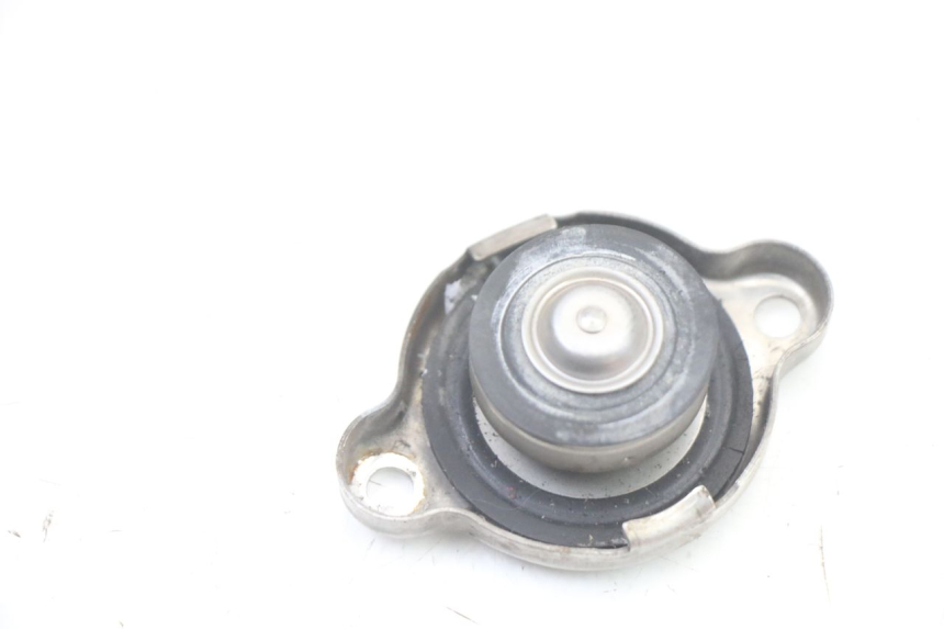 photo de RADIATOR CAP YAMAHA FZ6 FAZER S2 600 (2007 - 2011) - Zoom on usage condition
