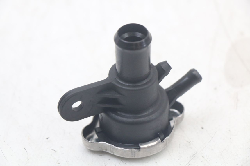 photo de RADIATOR CAP QUADRO 3D S 350 (2013 - 2018)