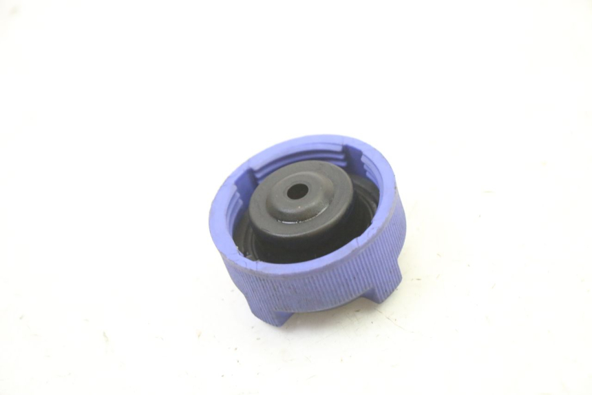photo de EXPANSION BOTTLE CAP PEUGEOT SATELIS 250 (2006 - 2012)