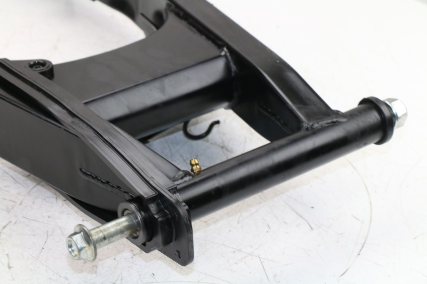 photo de SWINGARM DAELIM VJ ROADWIN FI 125 (2008 - 2017)