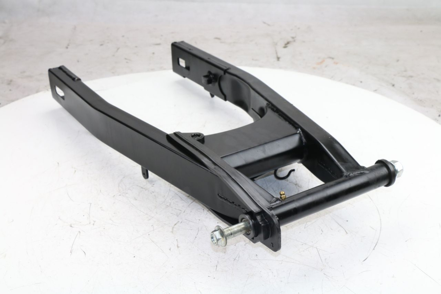 photo de SWINGARM DAELIM VJ ROADWIN FI 125 (2008 - 2017)