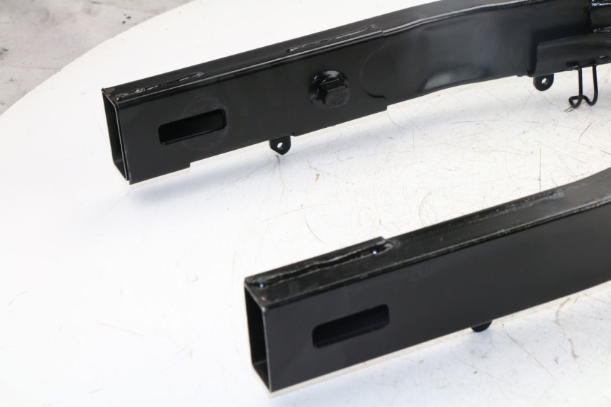 photo de SWINGARM DAELIM VJ ROADWIN FI 125 (2008 - 2017)