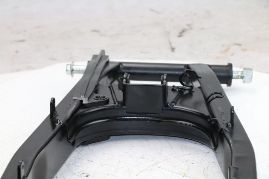 photo de SWINGARM DAELIM VJ ROADWIN FI 125 (2008 - 2017)