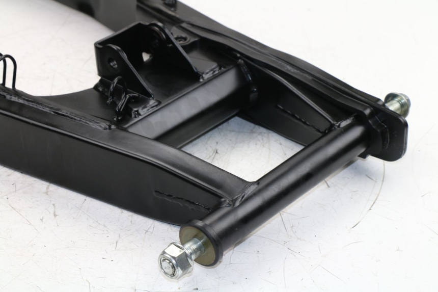 photo de SWINGARM DAELIM VJ ROADWIN FI 125 (2008 - 2017)