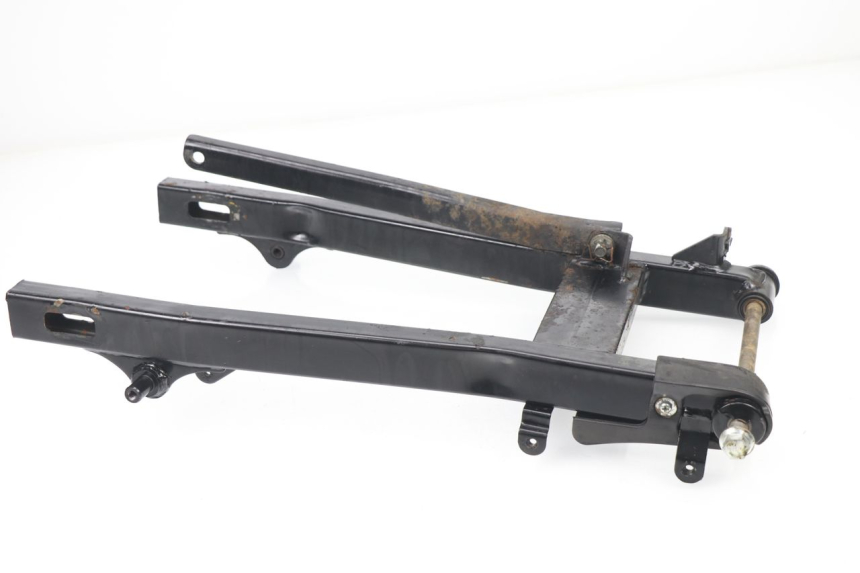 photo de SWING ARM LIFAN ROYAL KING 250 (2011 - 2019)