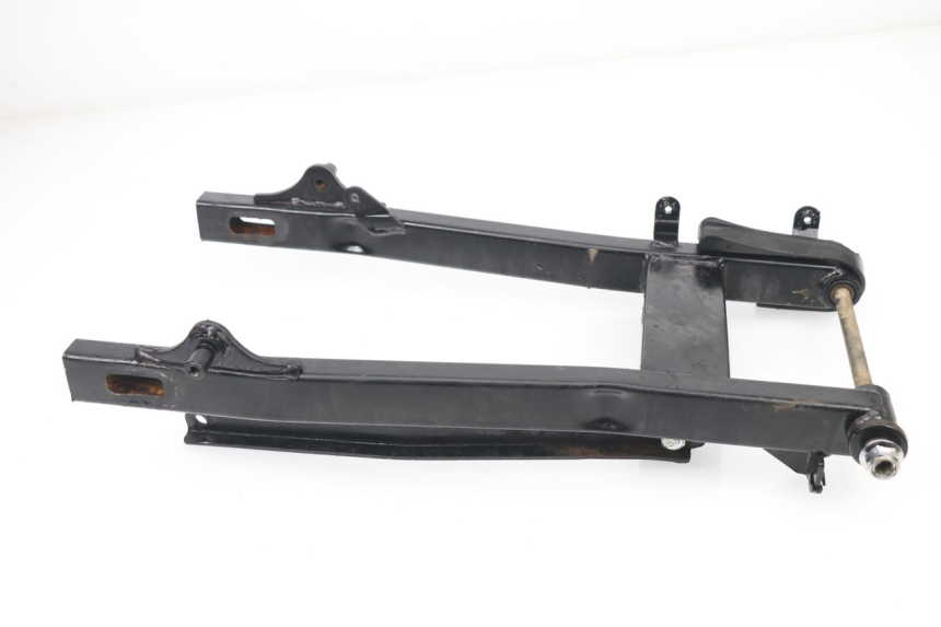 photo de SWING ARM LIFAN ROYAL KING 250 (2011 - 2019)