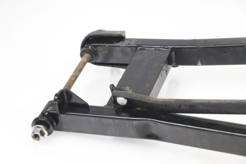photo de SWING ARM LIFAN ROYAL KING 250 (2011 - 2019)