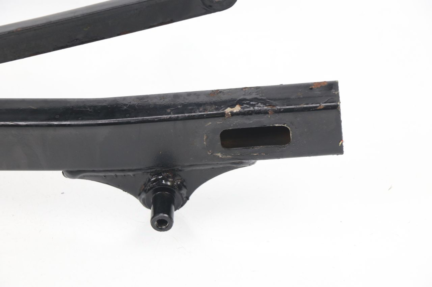photo de SWING ARM LIFAN ROYAL KING 250 (2011 - 2019)