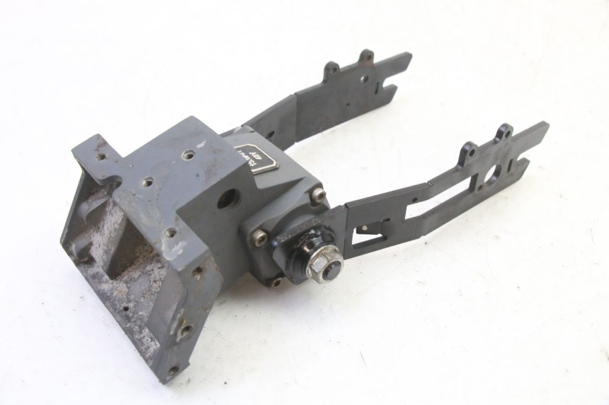 photo de SWING ARM PUNK ELECTRIC RIDER 1