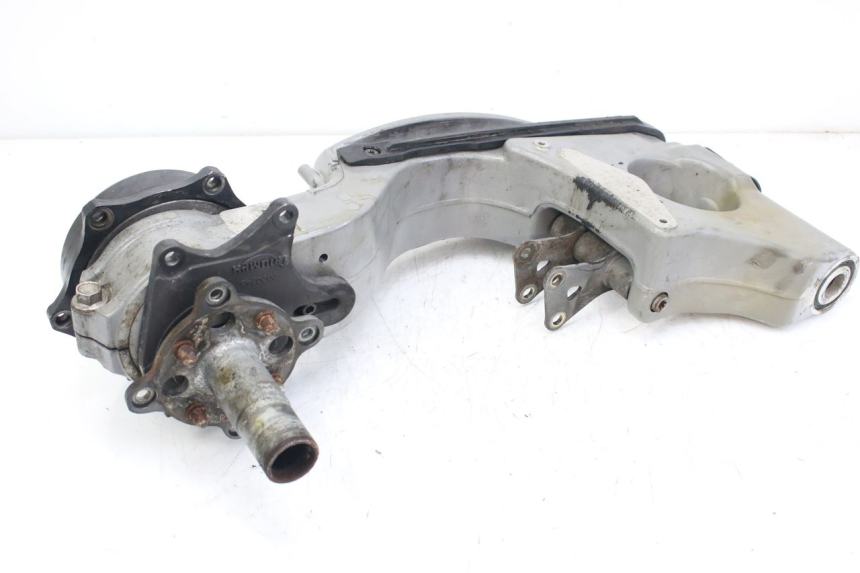 photo de SWINGARM TRIUMPH SPRINT ST 955 (1999 - 2001)