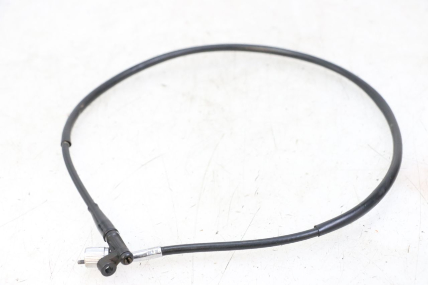 photo de SPEEDOMETER CABLE REGAL RAPTOR RAXTER 2 125 (2007 - 2015)