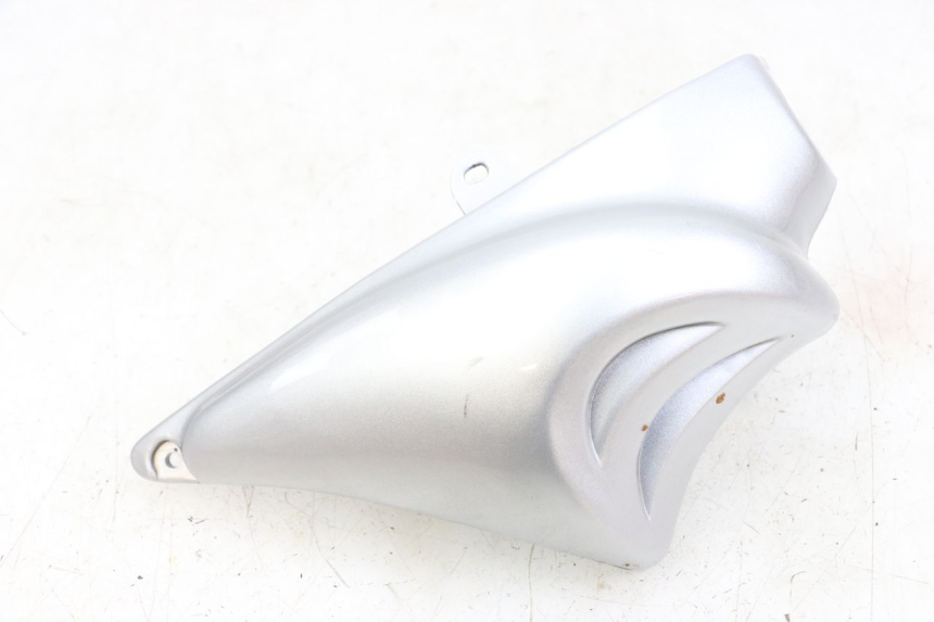 photo de Right side frame cover HYOSUNG GF 125 (2001 - 2005)