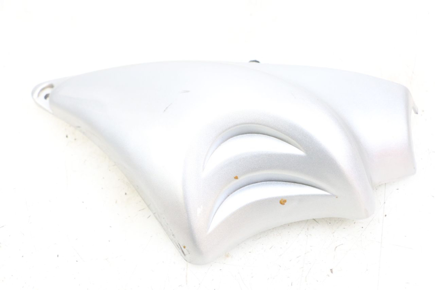 photo de Right side frame cover HYOSUNG GF 125 (2001 - 2005)