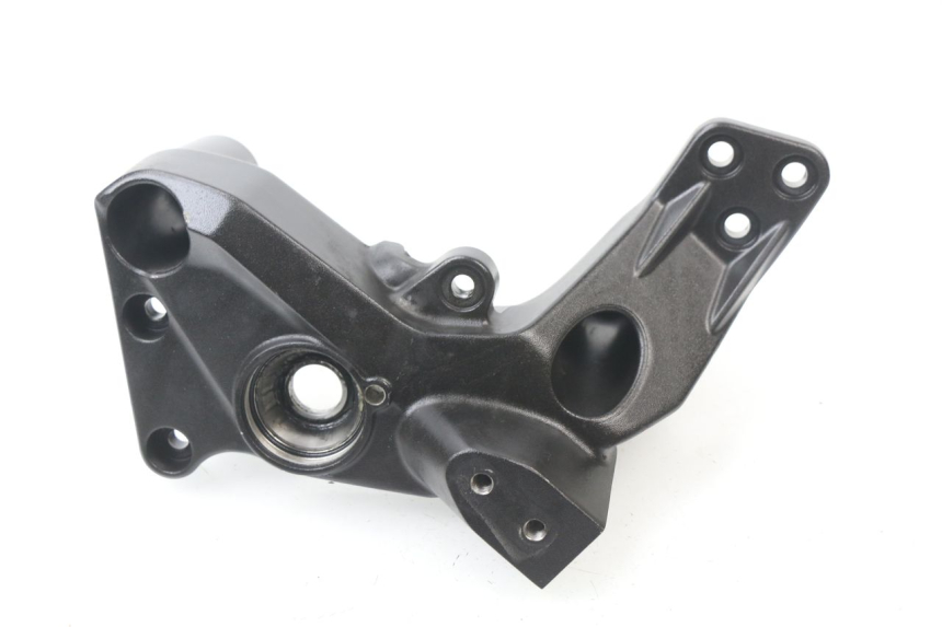 photo de LEFT SIDE FRAME COVER BMW C SPORT 650 (2015 - 2021)