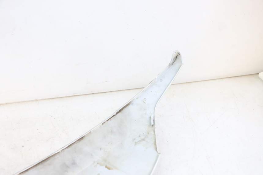 photo de REAR PANEL SYM FIDDLE 3 III 125 (2014 - 2020)