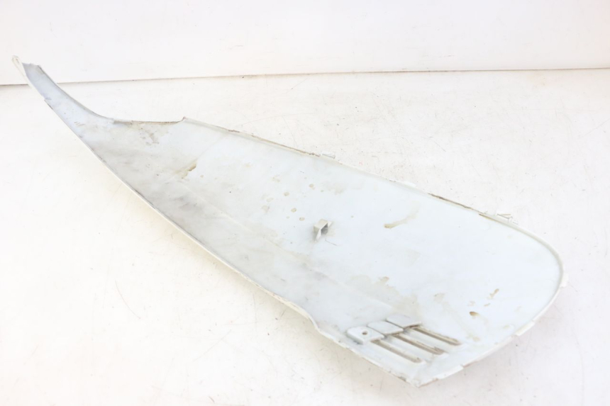 photo de REAR PANEL SYM FIDDLE 3 III 125 (2014 - 2020)