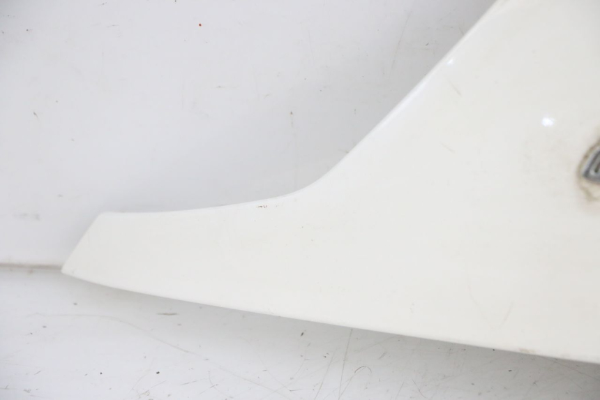 photo de REAR PANEL SYM FIDDLE 3 III 125 (2014 - 2020)