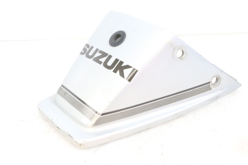 photo de REAR PANEL SUZUKI GSX E 250 (1982 - 1983)
