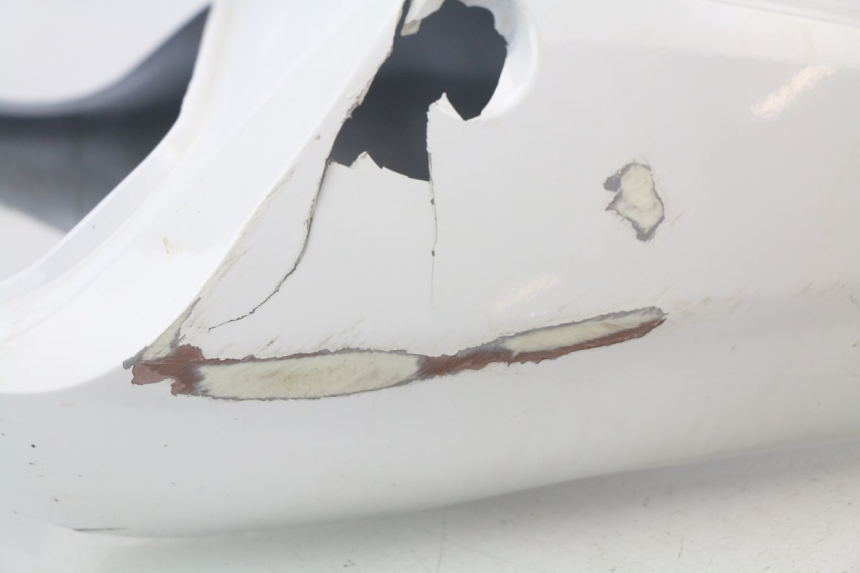 photo de REAR PANEL HONDA CBR 929 RR FIREBLADE 900 (2000 - 2001)
