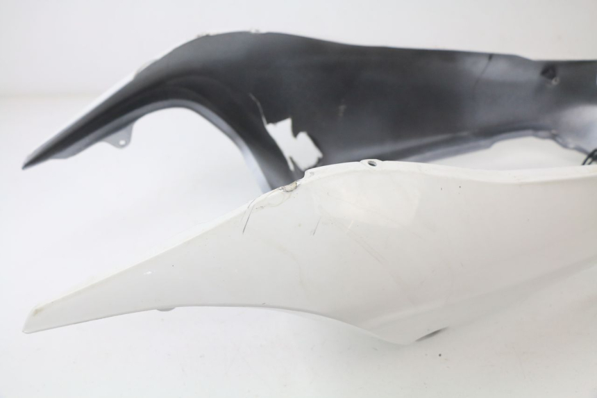 photo de REAR PANEL HONDA CBR 929 RR FIREBLADE 900 (2000 - 2001)