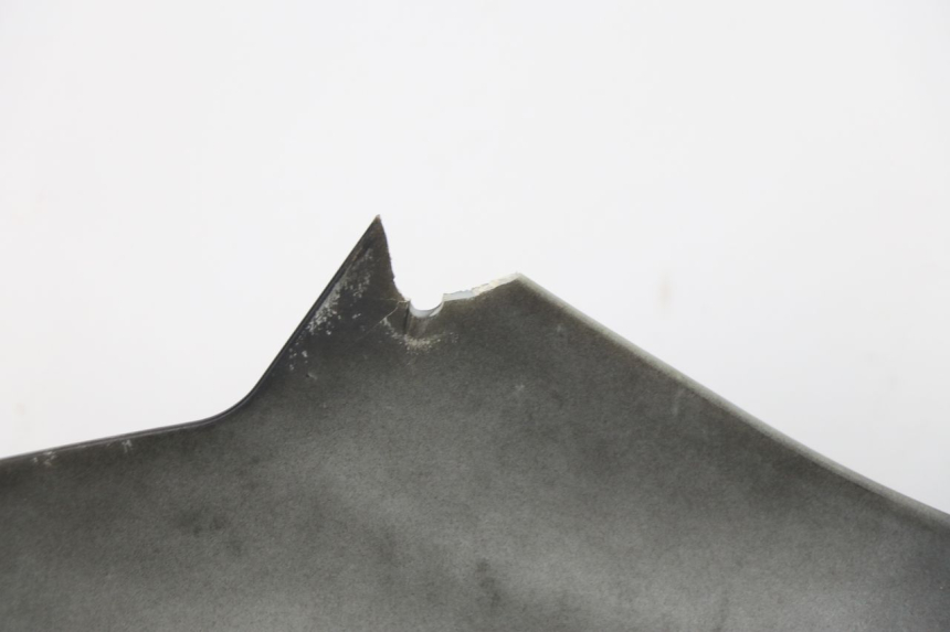 photo de REAR PANEL JM MOTORS VIPER 4T 50 (2015 - 2022)