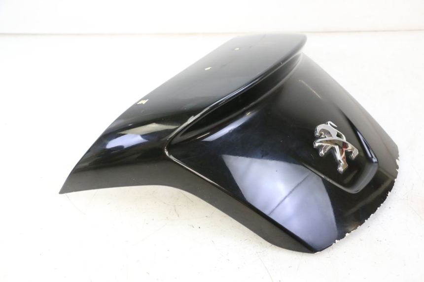 photo de REAR PANEL PEUGEOT SATELIS 125 (2013 - 2018)