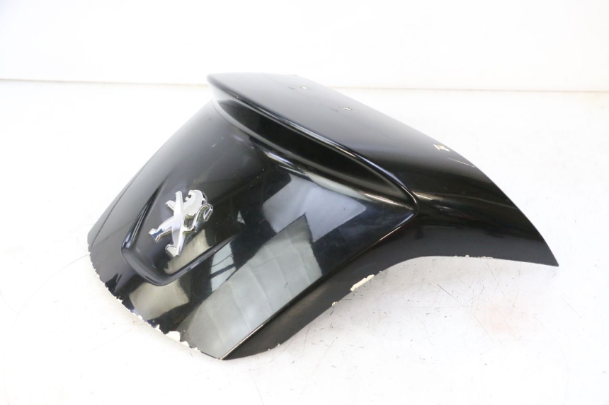 photo de REAR PANEL PEUGEOT SATELIS 125 (2013 - 2018)