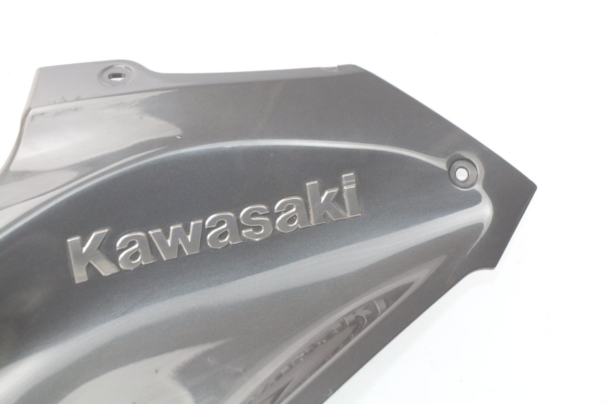 photo de FUEL TANK PANEL KAWASAKI Z Z900 900 (2017 - 2019)