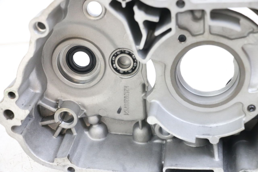 photo de ENGINE CRANKCASE APOLLO RFZ 140