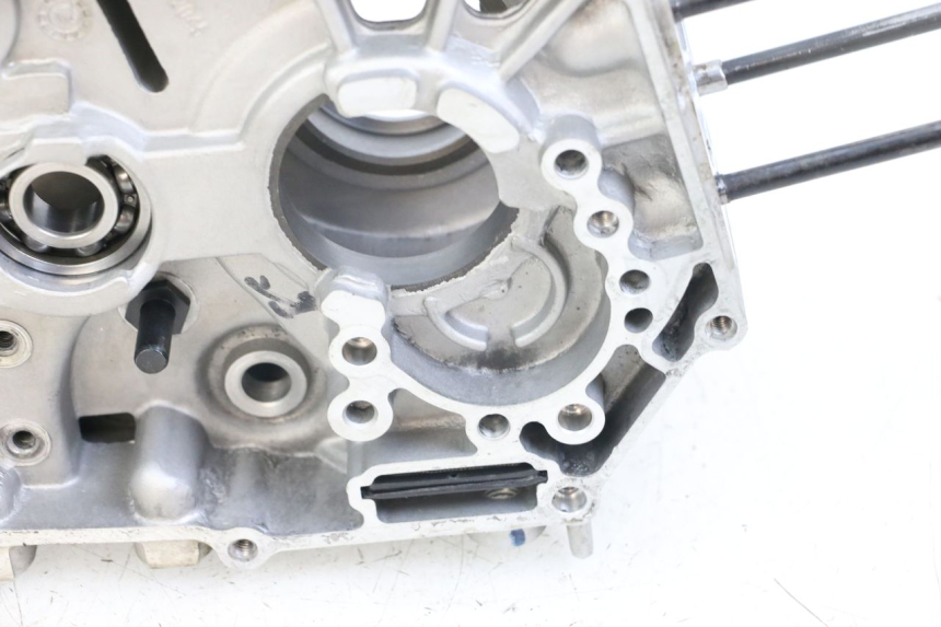 photo de ENGINE CRANKCASE APOLLO RFZ 140