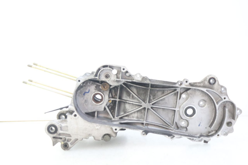 photo de ENGINE LOWER CASING LONGJIA DIGITA 4T 50 (2019 - 2022)