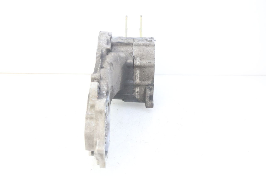 photo de ENGINE LOWER CASING LONGJIA DIGITA 4T 50 (2019 - 2022)