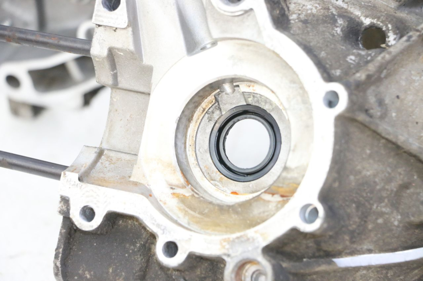 photo de ENGINE LOWER CASING KEEWAY F-ACT FACT 50 (2006 - 2011)